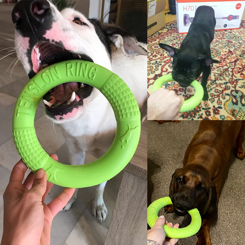 Dog Disk