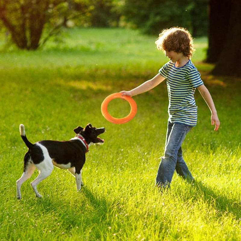 Dog Disk